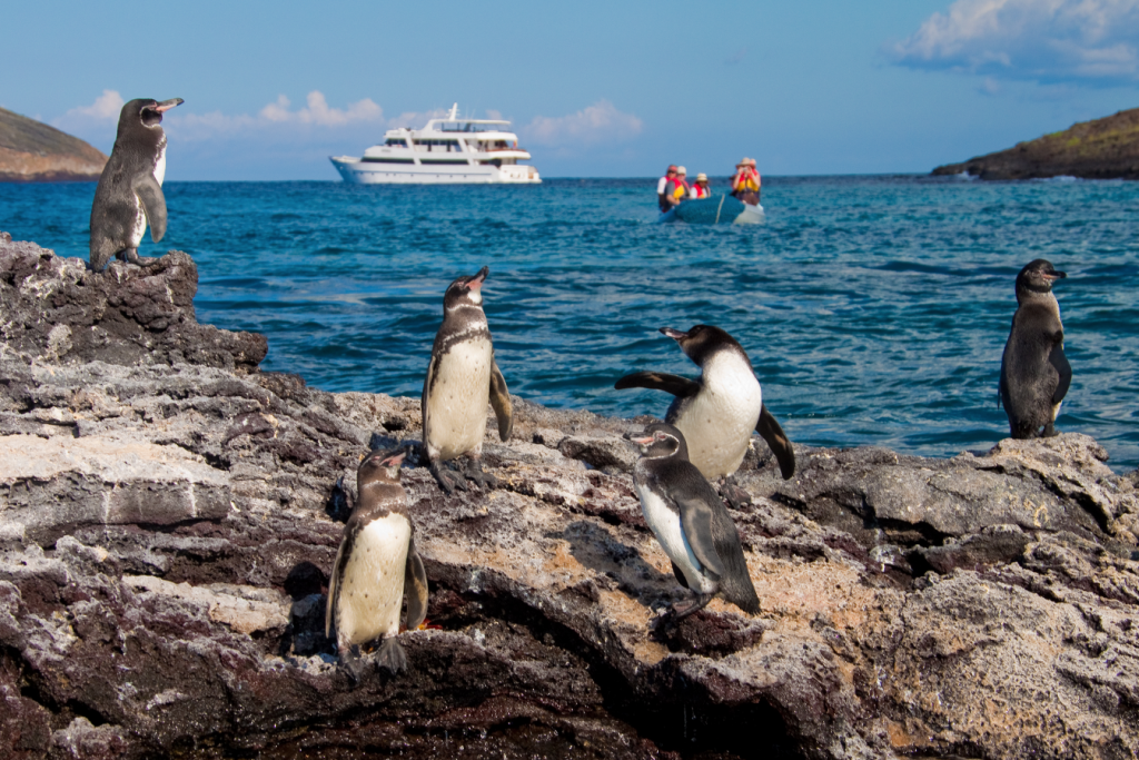Galapagos PG Travel Expeditions