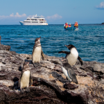 Galapagos PG Travel Expeditions