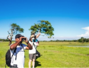 Ilha de Marajó