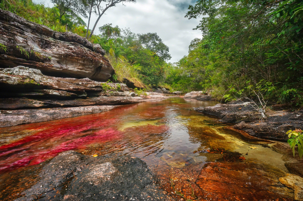 caño cristales Colombia pg travel expeditions