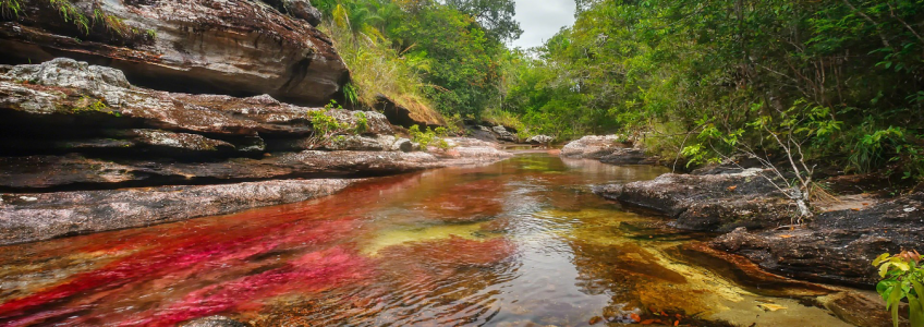 caño cristales Colombia pg travel expeditions