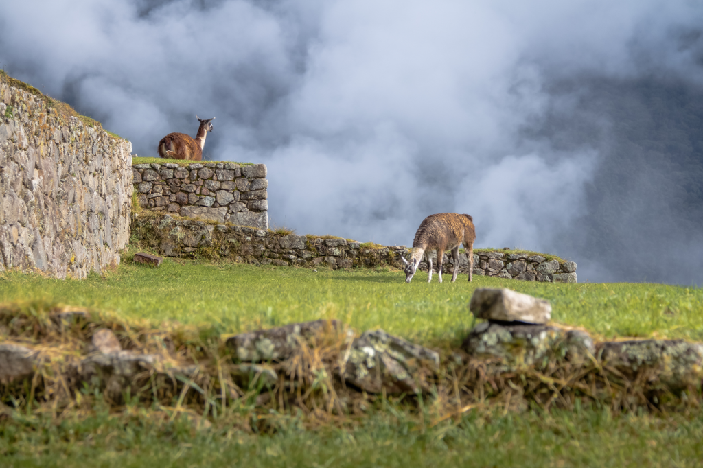 valle sagrado machu picu pg travel expeditions