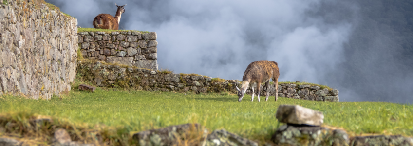 valle sagrado machu picu pg travel expeditions